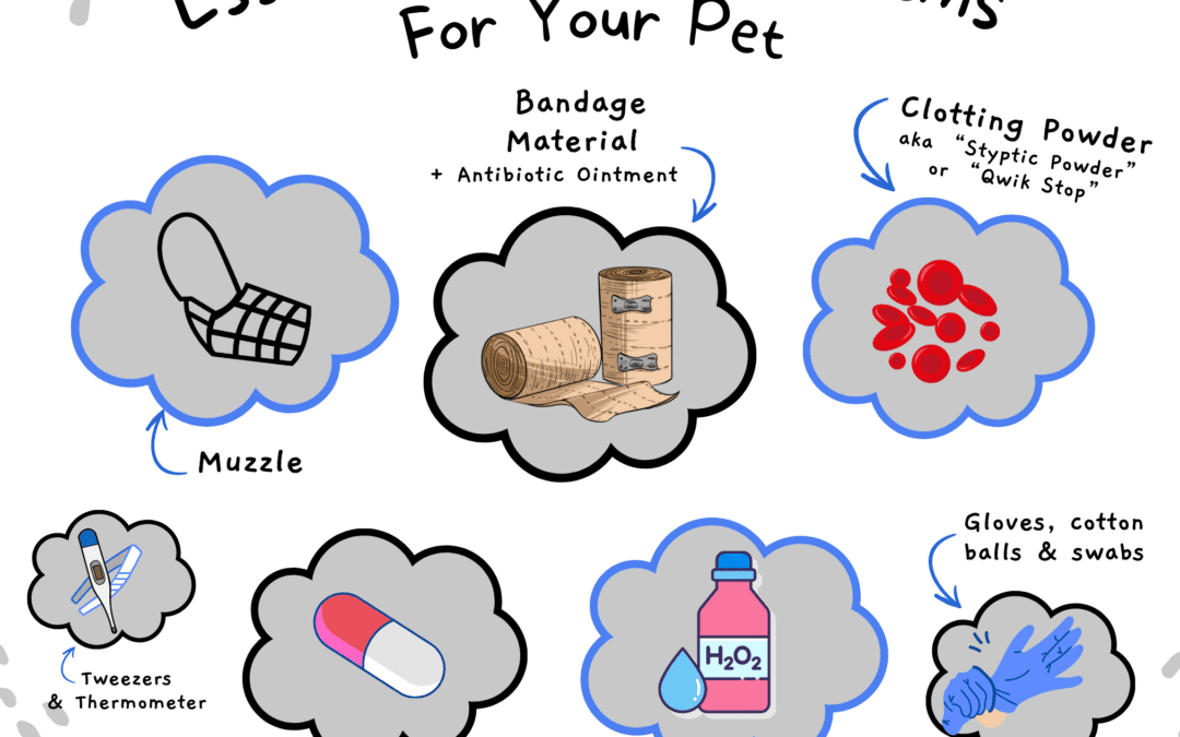 National Pet First Aid Awareness Month: Be Prepared for Pet Emergencies