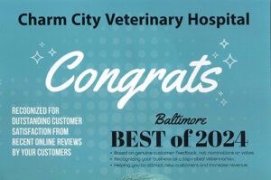 Best-of-2024---Flyer-500x332-1 Baltimore Best of 2024