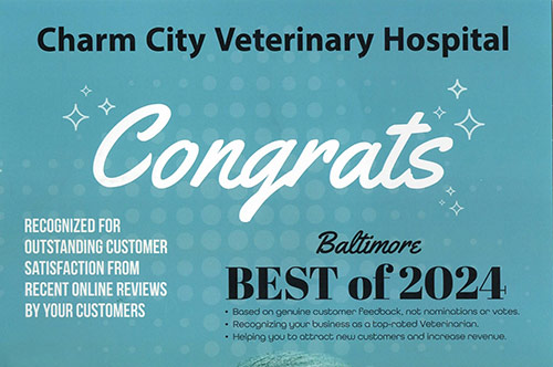 Best-of-2024---Flyer-500x332-1 best of balitmore