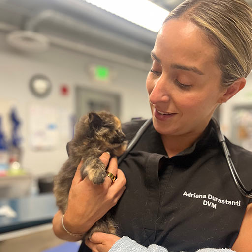 Dr. Adriana Durastanti with kitten