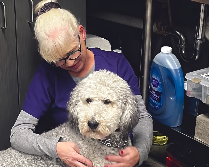 Sobe-Binner-and-Sheila Vet staff Sheila with a dog