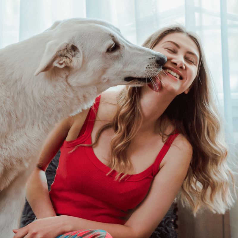 a dog and a lady playing together