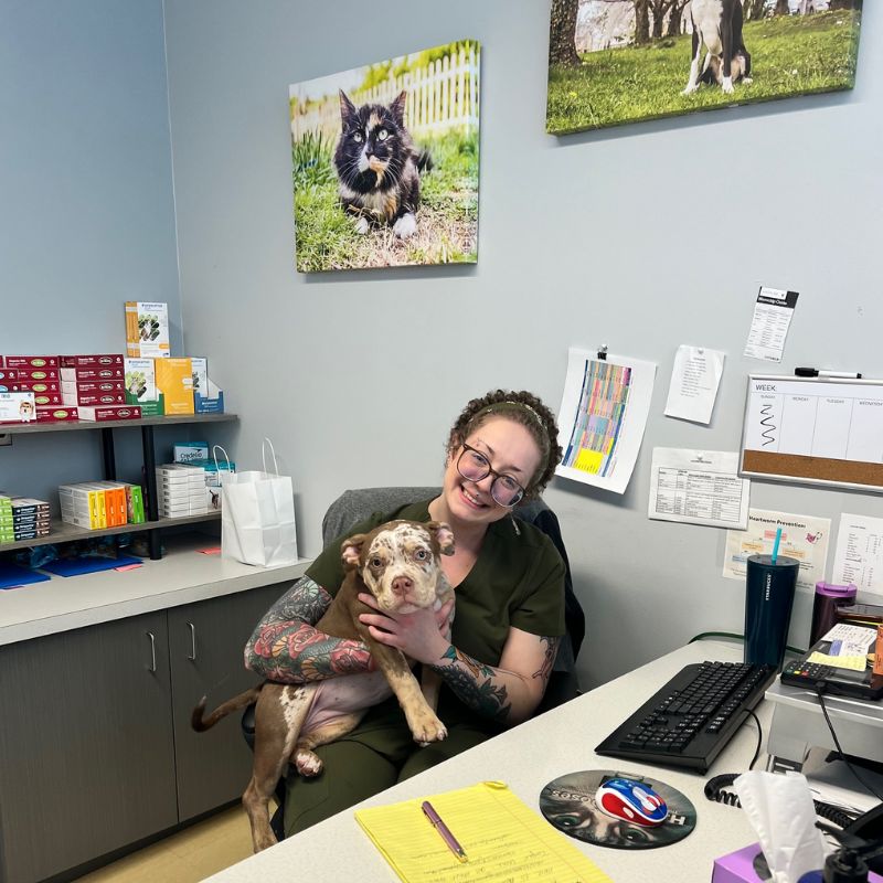 vet staff sitting with a dog on a chair