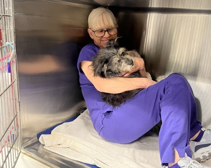 pet surgery service image4 Vet staff sitting holding a dog